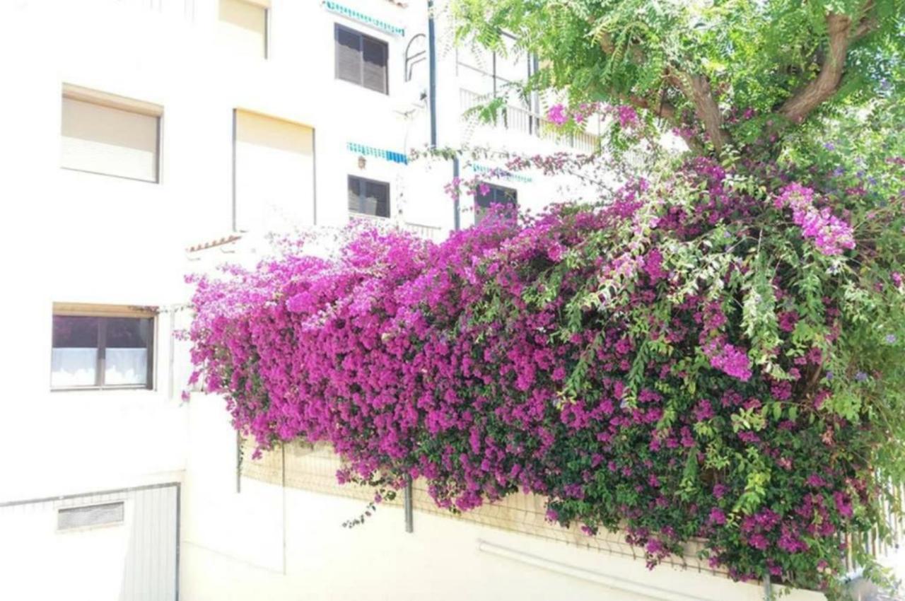 Bungalow Con Encanto, 100M2, A 800 M De La Playa エル・カンページョ エクステリア 写真